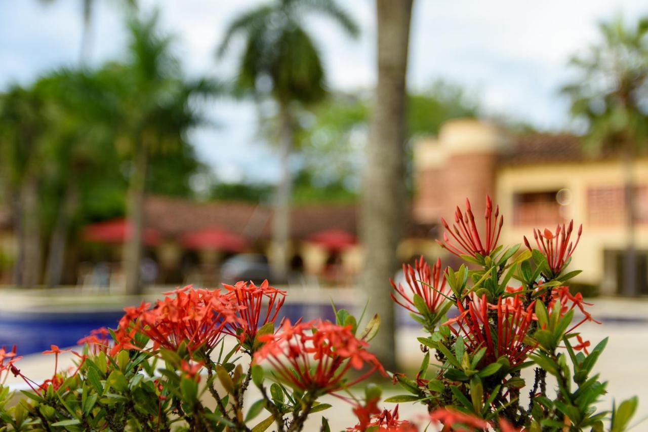 Finca Hotel Guadalupe ซานตาเฟเดอันตีโอเกีย ภายนอก รูปภาพ