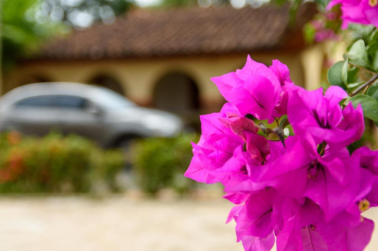 Finca Hotel Guadalupe ซานตาเฟเดอันตีโอเกีย ภายนอก รูปภาพ